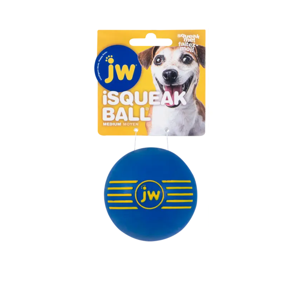 JW Pet iSqueak Rubber Ball Dog Toy Medium